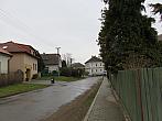 Třibřichy
