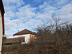 Olešná
