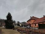 Olešná