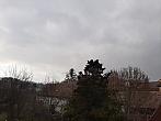 Olešná