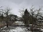 Olešná