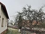 Olešná