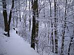 Třebíč-Borovina