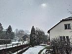 Olešná