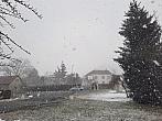 Olešná