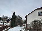 Olešná