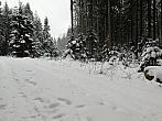 Svratka