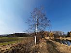 Chomutov