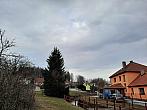 Olešná