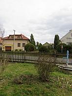 Třibřichy