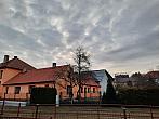 Olešná