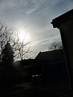 Třibřichy