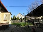 Třibřichy