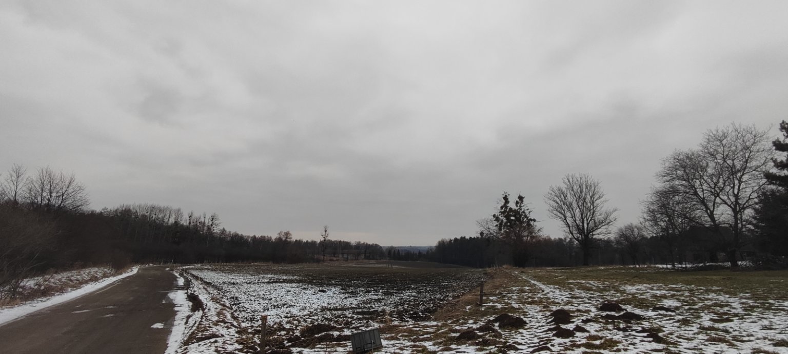 Puńców