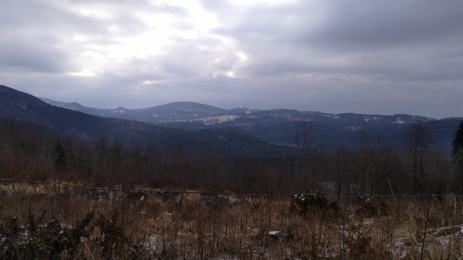 Líska