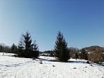 Skalité