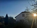 Olešná