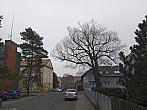 Český Těšín