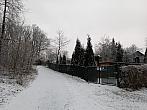 Český Těšín