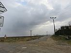 Třibřichy