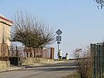 Třibřichy