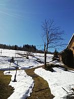 Skalité