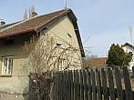 Třibřichy