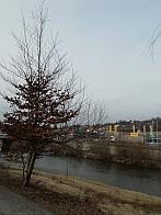 Čadca