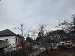 Olešná