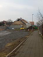 Třibřichy