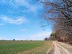 Lukovany