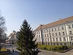 Český Těšín