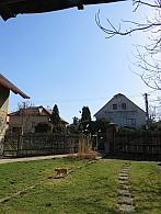Třibřichy
