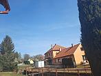 Olešná