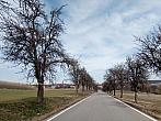 Lukovany