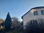 Olešná