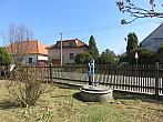 Třibřichy
