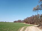 Lukovany