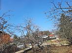 Olešná