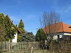 Třibřichy