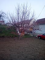 Žádovice