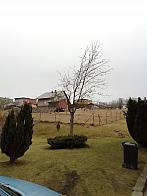 Skalité