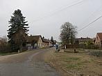 Třibřichy