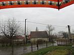 Třibřichy