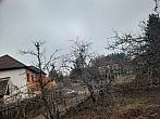 Olešná