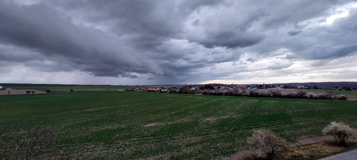 Vinařice