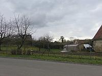 Třibřichy