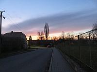 Třibřichy