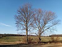 Lukovany