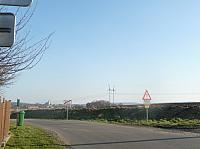 Třibřichy